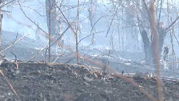 В Иркутской области ликвидировали пожар, который тушили почти неделю