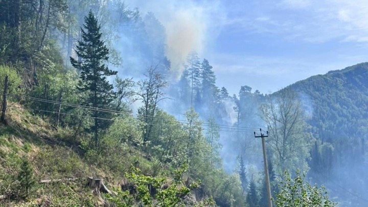 Лесной пожар бушует в районе Телецкого озера в Горном Алтае