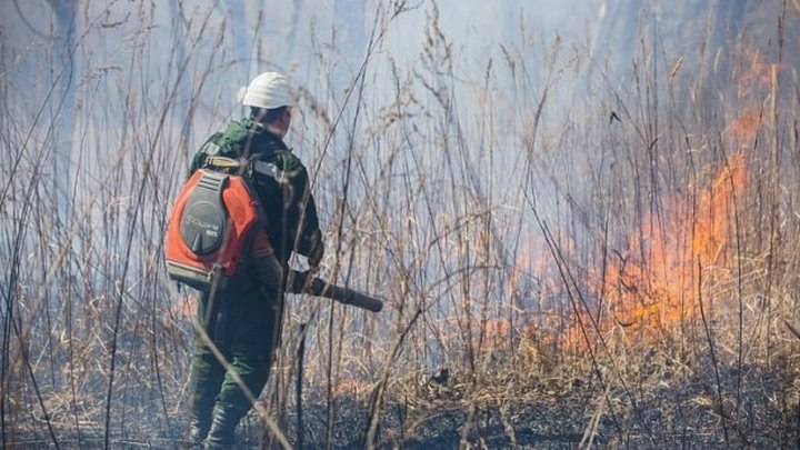 В Приморье при тушении лесного пожара погиб спасатель