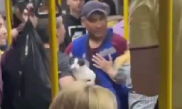 Драка в автобусе с участием кондуктора, пассажира и кота попала на видео