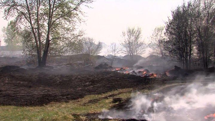 По фактам пожаров в Тюменской области возбуждено 10 уголовных дел
