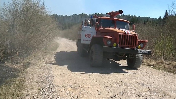 Площадь лесных пожаров на территории России продолжает расти